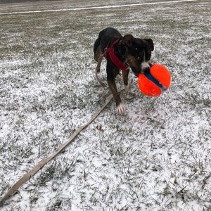 Meet your Posher, Eric